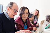 Senior business people using laptop