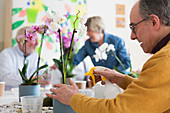 Senior man with spray bottle watering orchid