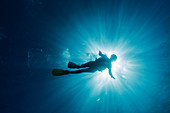 Sun shining behind woman scuba diving underwater