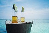 Lime slices in beer bottles on ice on ocean beach