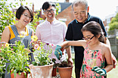Family gardening, potting flowers