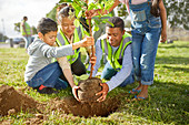 Family volunteers planting tree in park