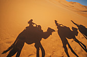 Shadows of people riding camels in desert, Sahara, Morocco