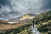 Man on stone path, Snowdonia NP, UK