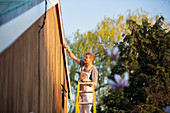 Male painter on ladder painting home exterior trim
