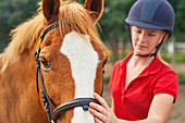 Teenage girl in equestrian helmet petting horse