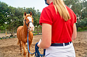 Teenage girl training horse in paddock