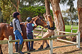 Instructor and girls petting horse in sunny rural paddock