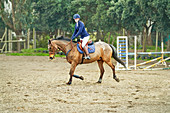 Portrait teenage girl equestrian jumping in paddock