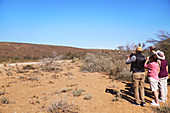 Safari tour group in sunny remote grassland South Africa