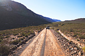Safari vehicle driving on sunny remote dirt road