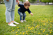 Cute innocent toddler girl picking flowers grass