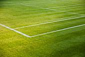 Vibrant green grass tennis court