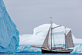 Ship sailing past large icebergs Greenland