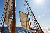 Wooden sailboat masts and sails