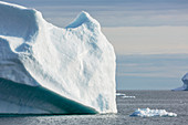 Melting icebergs on Atlantic Ocean Greenland