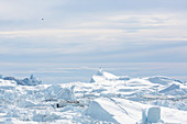Sunny melting glacier Atlantic Ocean Greenland