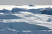Sunny white icebergs Greenland