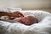 Mother touching cute newborn baby son in bassinet