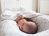 Newborn baby boy laying in bassinet