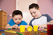 Boy with Down Syndrome and brother playing with toys