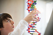 Curious boy examining DNA model