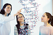 Female teacher and students examining molecular structure