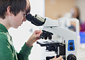 Focused boy student using microscope in classroom