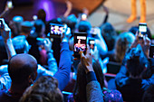 Audience using camera phones