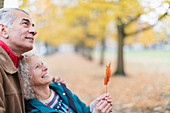 Curious senior couple holding leaf in autumn park