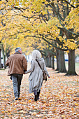 Couple holding hands, walking among trees and leaves