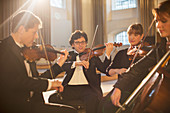 Classical quartet performing
