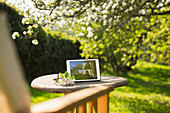 Friends video chatting on digital tablet screen in garden