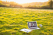 Friends video chatting on laptop screen in sunny grass