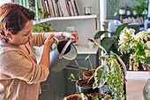 Mature woman watering houseplants