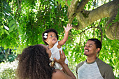Parents lifting toddler daughter under summer tree