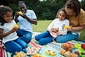 Family enjoying dessert on picnic blanket in park