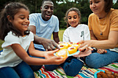 Family enjoying cupcakes on picnic blanket in park