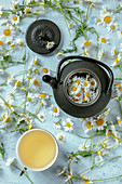 Pot of chamomile tea served on rustic mug with fresh flowers on blue background