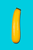 Gelbe Zucchini auf blauem Untergrund