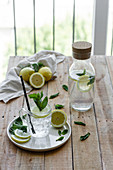 Cold refreshing drink with soda water and lemon garnished with fresh mint leaves