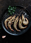 Prawns served in plate on table on dark background