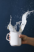 Crop female with mug of splashing milk on blue background in studio