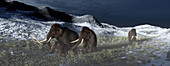Mammoth family, illustration