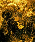 Arachnoids, Venus , radar image