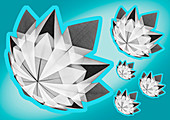 Origami lotus blossom, illustration