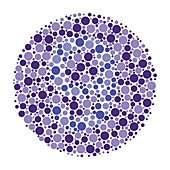 Colour blindness test chart, illustration