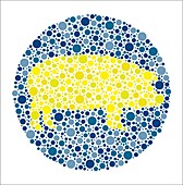 Colour blindness test chart, illustration