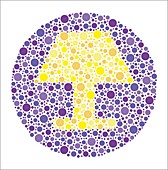 Colour blindness test chart, illustration