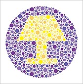 Colour blindness test chart, illustration